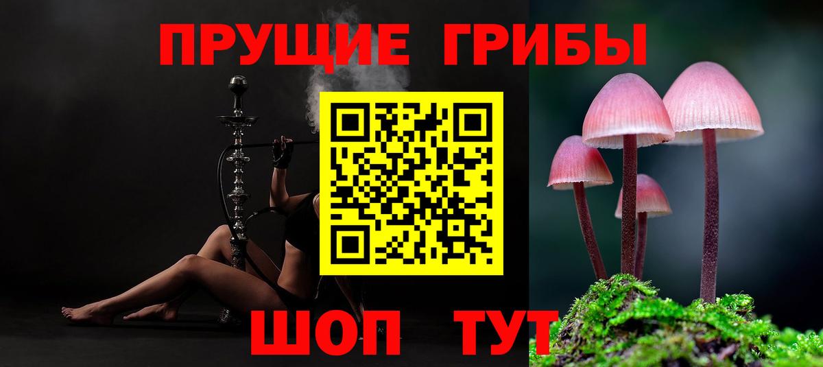 Псилоцибиновые грибы Psilocybe  Вход с VPN  Симферополь  Галлюциногенные грибы мицелий 